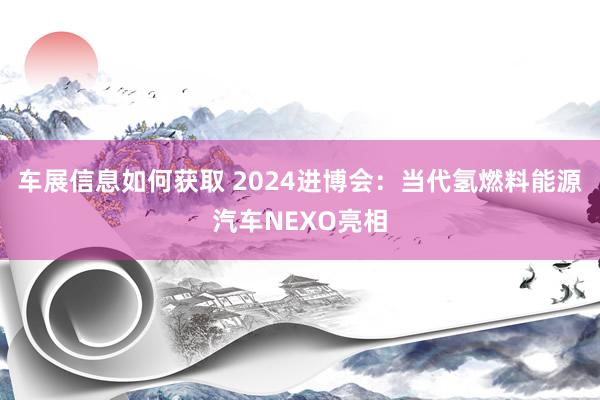 车展信息如何获取 2024进博会：当代氢燃料能源汽车NEXO亮相