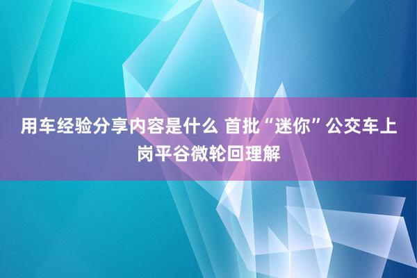 用车经验分享内容是什么 首批“迷你”公交车上岗平谷微轮回理解