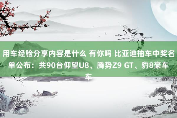 用车经验分享内容是什么 有你吗 比亚迪抽车中奖名单公布：共90台仰望U8、腾势Z9 GT、豹8豪车