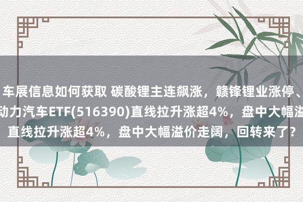 车展信息如何获取 碳酸锂主连飙涨，赣锋锂业涨停、宁德期间涨3%，新动力汽车ETF(516390)直线拉升涨超4%，盘中大幅溢价走阔，回转来了？