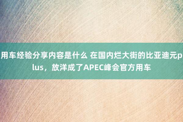 用车经验分享内容是什么 在国内烂大街的比亚迪元plus，放洋成了APEC峰会官方用车