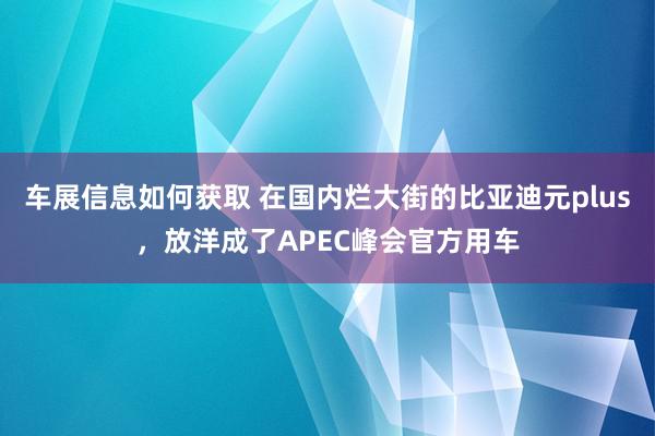 车展信息如何获取 在国内烂大街的比亚迪元plus，放洋成了APEC峰会官方用车