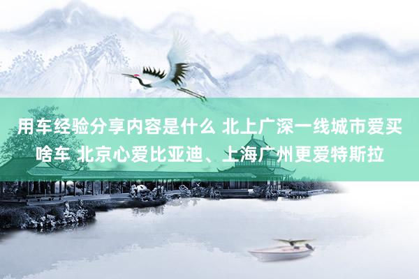 用车经验分享内容是什么 北上广深一线城市爱买啥车 北京心爱比亚迪、上海广州更爱特斯拉