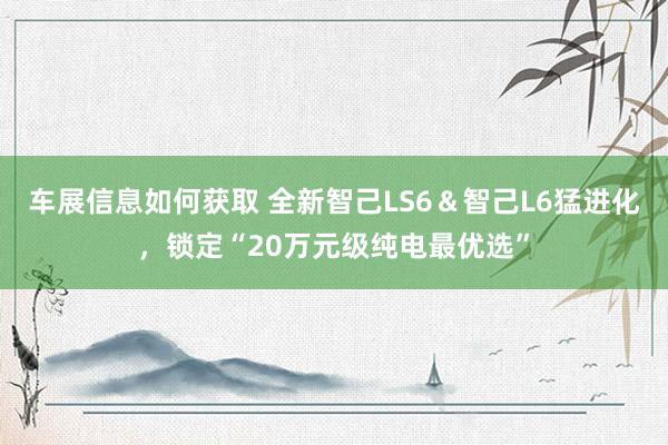 车展信息如何获取 全新智己LS6＆智己L6猛进化，锁定“20万元级纯电最优选”