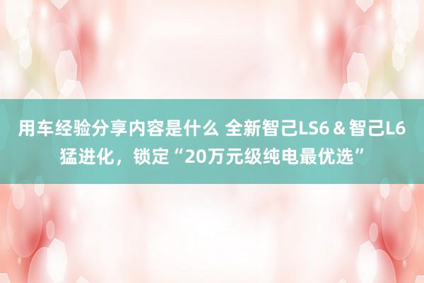 用车经验分享内容是什么 全新智己LS6＆智己L6猛进化，锁定“20万元级纯电最优选”