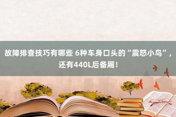 故障排查技巧有哪些 6种车身口头的“震怒小鸟”，还有440L后备厢！