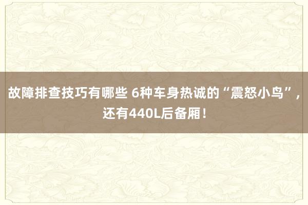 故障排查技巧有哪些 6种车身热诚的“震怒小鸟”，还有440L后备厢！