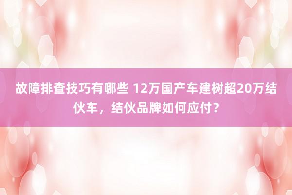 故障排查技巧有哪些 12万国产车建树超20万结伙车，结伙品牌如何应付？