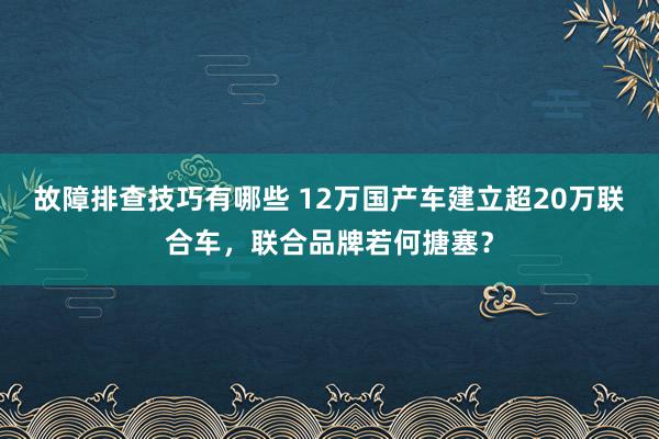 故障排查技巧有哪些 12万国产车建立超20万联合车，联合品牌若何搪塞？