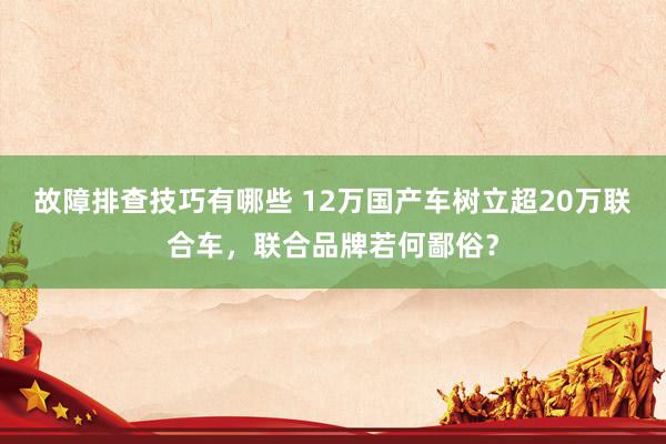 故障排查技巧有哪些 12万国产车树立超20万联合车，联合品牌若何鄙俗？