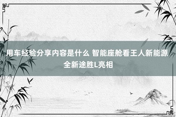 用车经验分享内容是什么 智能座舱看王人新能源 全新途胜L亮相