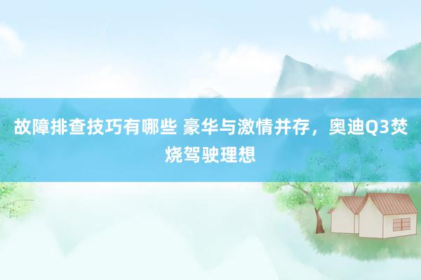 故障排查技巧有哪些 豪华与激情并存，奥迪Q3焚烧驾驶理想