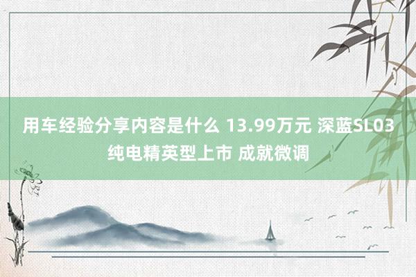 用车经验分享内容是什么 13.99万元 深蓝SL03纯电精英型上市 成就微调