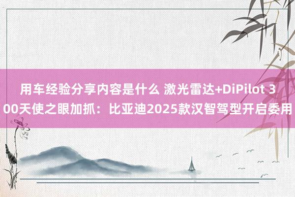 用车经验分享内容是什么 激光雷达+DiPilot 300天使之眼加抓：比亚迪2025款汉智驾型开启委用