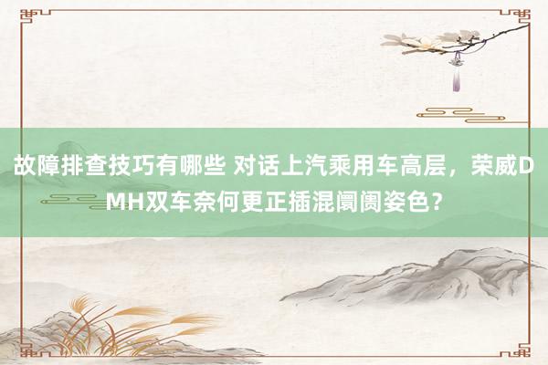 故障排查技巧有哪些 对话上汽乘用车高层，荣威DMH双车奈何更正插混阛阓姿色？