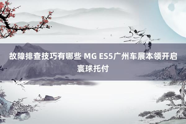 故障排查技巧有哪些 MG ES5广州车展本领开启寰球托付