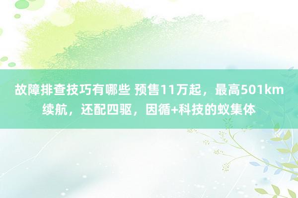 故障排查技巧有哪些 预售11万起，最高501km续航，还配四驱，因循+科技的蚁集体