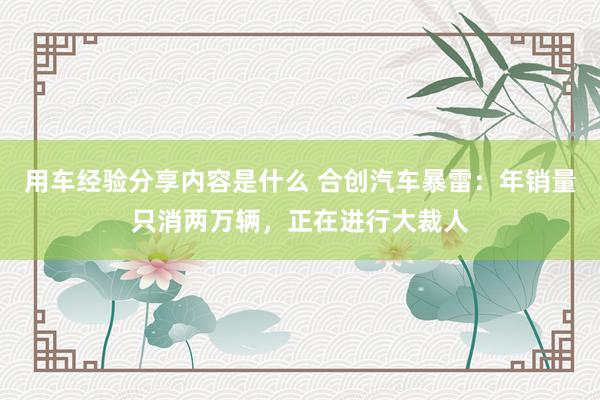 用车经验分享内容是什么 合创汽车暴雷：年销量只消两万辆，正在进行大裁人