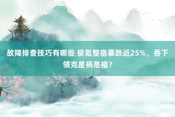 故障排查技巧有哪些 极氪整宿暴跌近25%，吞下领克是祸是福？