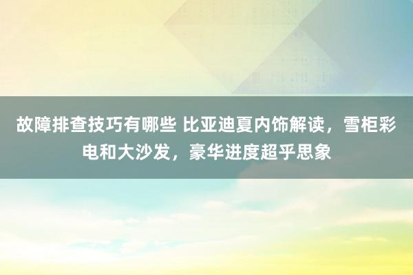 故障排查技巧有哪些 比亚迪夏内饰解读，雪柜彩电和大沙发，豪华进度超乎思象