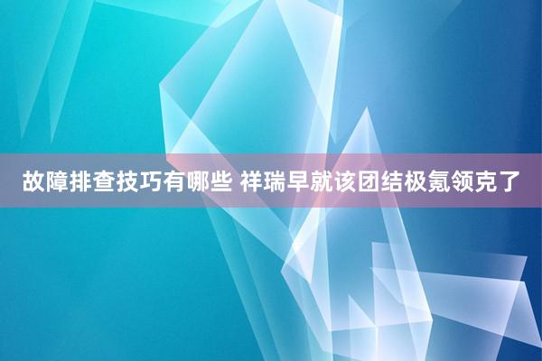 故障排查技巧有哪些 祥瑞早就该团结极氪领克了