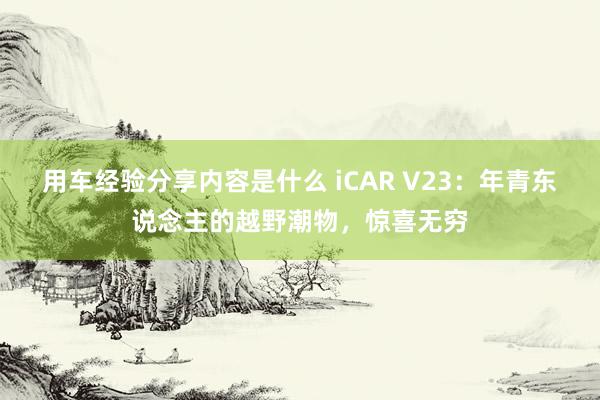 用车经验分享内容是什么 iCAR V23：年青东说念主的越野潮物，惊喜无穷