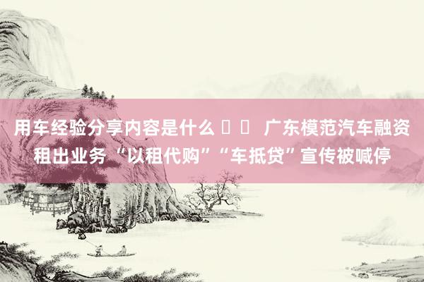 用车经验分享内容是什么 		 广东模范汽车融资租出业务 “以租代购”“车抵贷”宣传被喊停