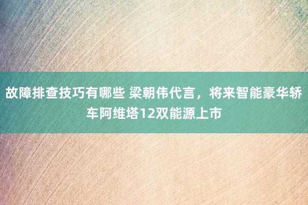 故障排查技巧有哪些 梁朝伟代言，将来智能豪华轿车阿维塔12双能源上市