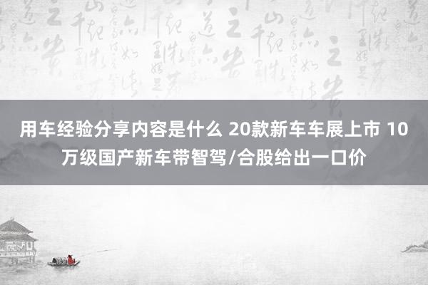 用车经验分享内容是什么 20款新车车展上市 10万级国产新车带智驾/合股给出一口价