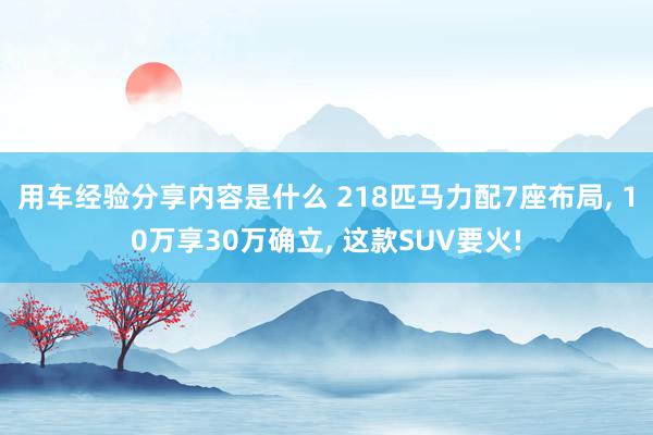 用车经验分享内容是什么 218匹马力配7座布局, 10万享30万确立, 这款SUV要火!