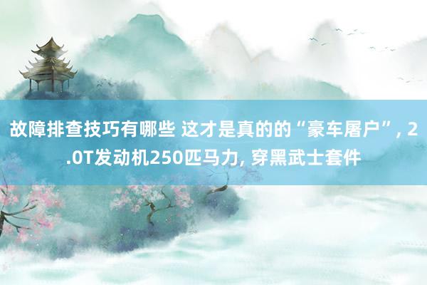 故障排查技巧有哪些 这才是真的的“豪车屠户”, 2.0T发动机250匹马力, 穿黑武士套件