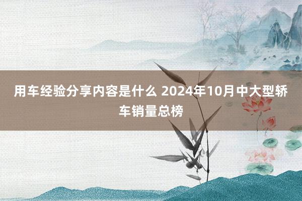 用车经验分享内容是什么 2024年10月中大型轿车销量总榜