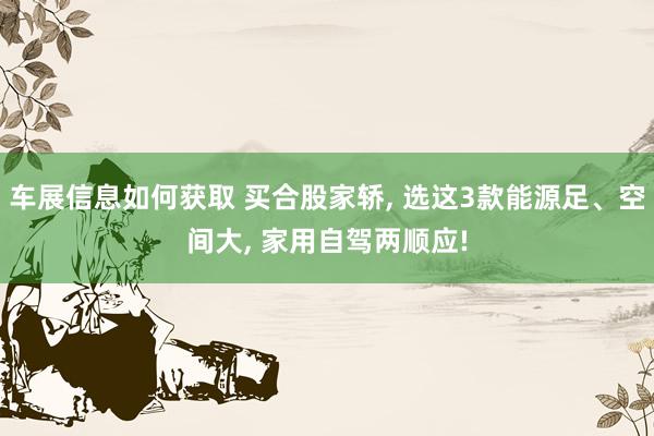 车展信息如何获取 买合股家轿, 选这3款能源足、空间大, 家用自驾两顺应!