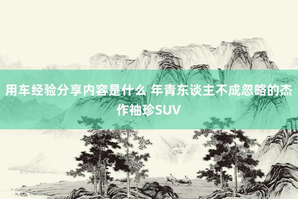 用车经验分享内容是什么 年青东谈主不成忽略的杰作袖珍SUV