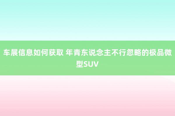 车展信息如何获取 年青东说念主不行忽略的极品微型SUV