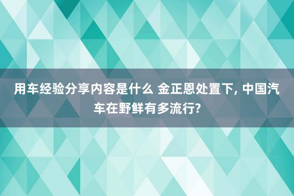 用车经验分享内容是什么 金正恩处置下, 中国汽车在野鲜有多流行?