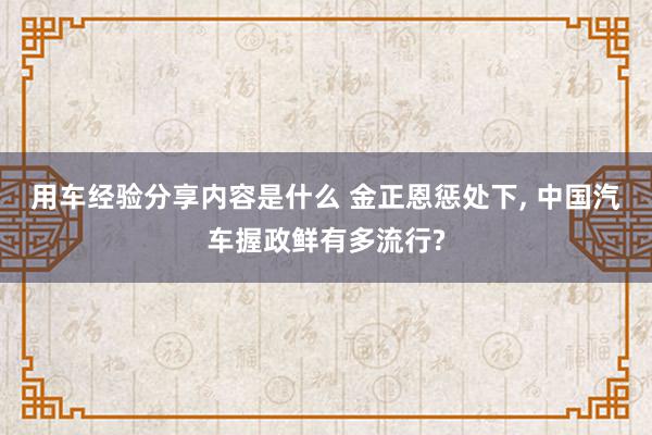 用车经验分享内容是什么 金正恩惩处下, 中国汽车握政鲜有多流行?