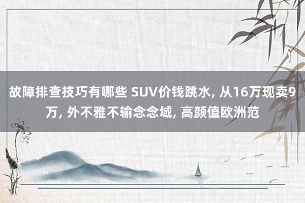 故障排查技巧有哪些 SUV价钱跳水, 从16万现卖9万, 外不雅不输念念域, 高颜值欧洲范