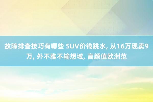 故障排查技巧有哪些 SUV价钱跳水, 从16万现卖9万, 外不雅不输想域, 高颜值欧洲范