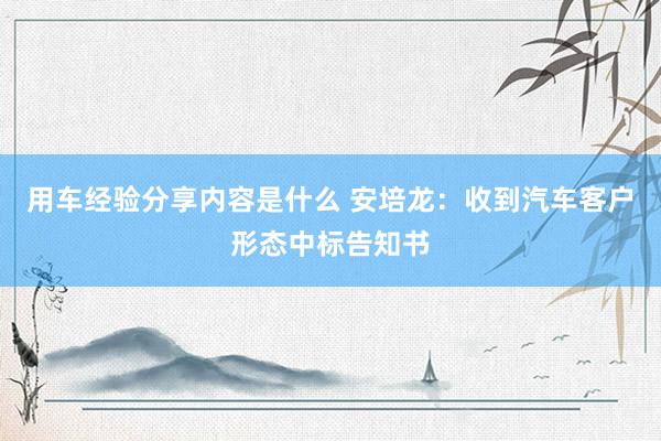 用车经验分享内容是什么 安培龙：收到汽车客户形态中标告知书