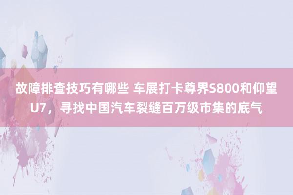 故障排查技巧有哪些 车展打卡尊界S800和仰望U7，寻找中国汽车裂缝百万级市集的底气