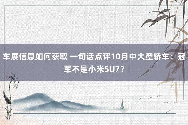 车展信息如何获取 一句话点评10月中大型轿车：冠军不是小米SU7？